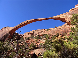 Devils Garden Trail Im Arches Nationalpark In Utah Usa Walking